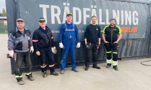 Consectetuer adipiscing elit